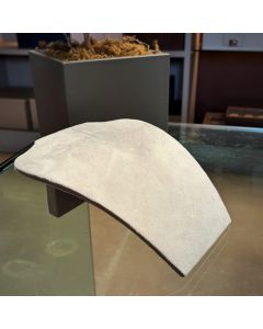 Busto Tradicional Inclinado - 22 cm